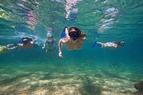 Privéboog- en snorkeltocht in Cabo San Lucas met foto's