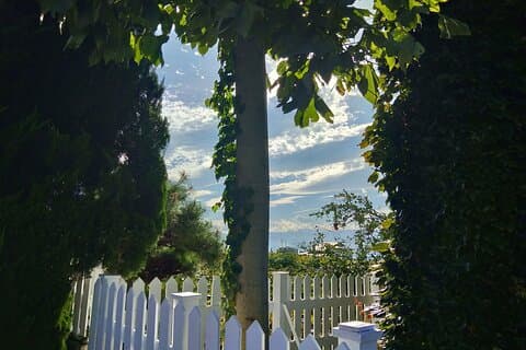 Yamanashi Koshu Winery Privat tur med licenseret guide og køretøj