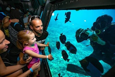 Sea Scope Cruise With Transfer - Sharm El Sheikh