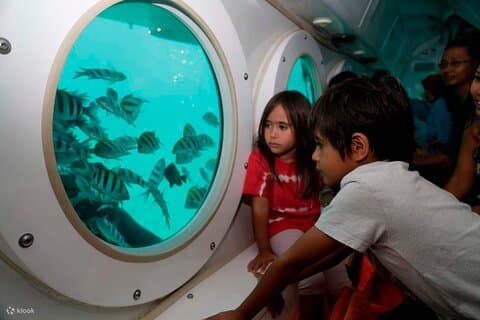 Sharm El Sheikh Semi-Submarine Adventure – Cruzeiro Royal Sea Scope