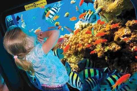 Sea Scope ubåd og snorkling eventyr i Hurghada