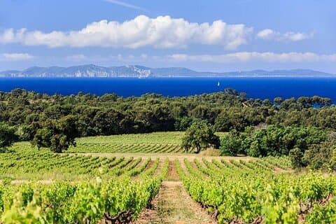 Privé wijntour van een hele dag in de Provence vanuit de cruisehaven van Toulon
