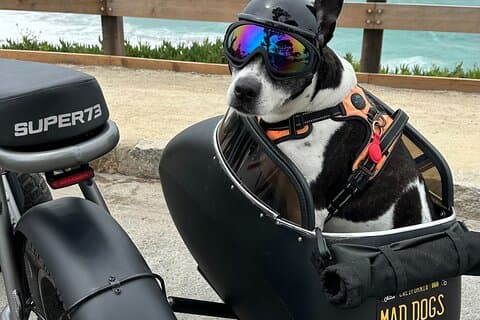 Monterey Bay Famous Dog Friendly Electric Bike and Sidecar Tour