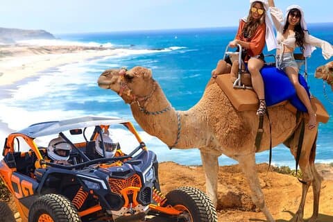 Balade en chameau et UTV Combo Adventure Dégustation de tequila gratuite