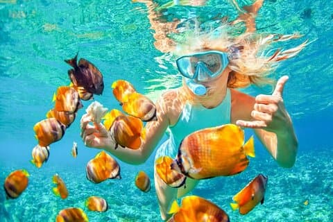 Snorkeling Safari at Blue Lagoon and Tanjung Jepun