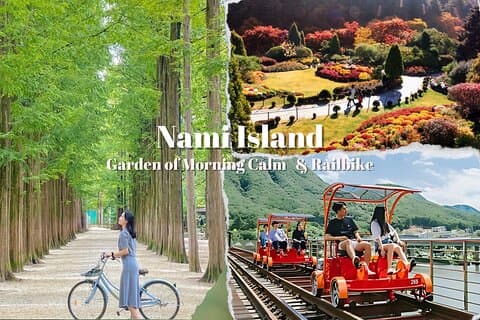 Nami Island, K-garden og Gangchon Rail Bike Tour fra Seoul