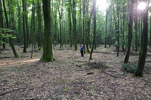 Private Truffle‑Hunting Tour from Belgrade – Lunch with Wine