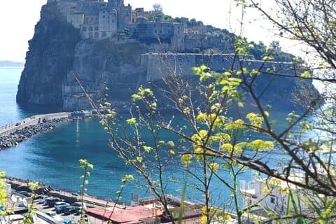 Visita In Libertà Castello Aragonese Ischia, con guida PDF