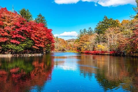 Tokyo: Karuizawa, Kawagoe & Hoshino Resort Shrine Day Tour