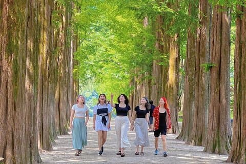 Nami Island, Alpaca World, Garden of Morning Rolig tur fra Seoul