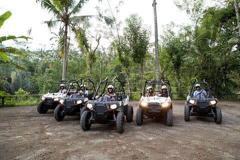 Ubud Adventure Paradise : randonnée à vélo en buggy, rafting
