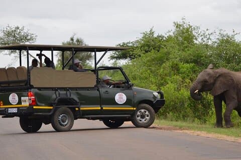 All Inclusive 4 Day Kruger South to Central from Nelspruit