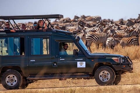 Safari in jeep di lusso con fauna selvatica Masai Mara di 3 giorni