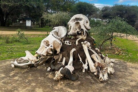 Safari de 3 días de cultura y vida silvestre: Tarangire, Ngorongoro & Lago Eyasi