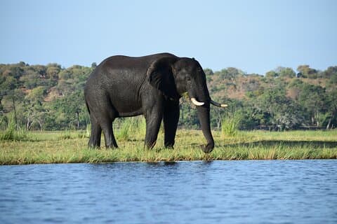 Aventure Safari de 9 jours Chutes Victoria Chobe Delta de l'Okavango