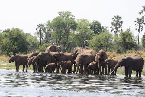 11 Tage Victoriafälle nach Okavango Delta Erlebnis
