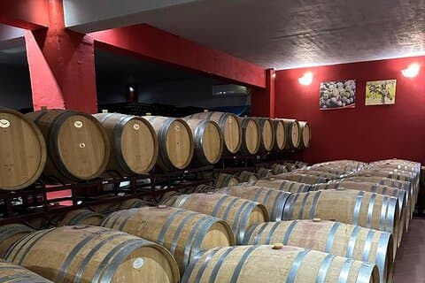 Excursão privada de dia inteiro às vinícolas Nemea saindo de Attica