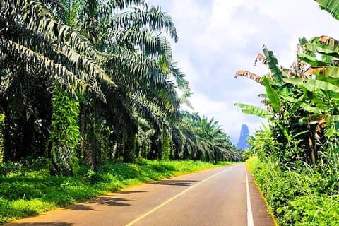 Visitas guiadas en Santo Tomé