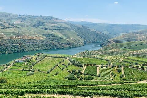 Die private Tour durch das Douro-Tal beinhaltet eine Weinprobe und eine Bootsfahrt