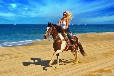 Un'ora a cavallo sulla spiaggia di Sharm El-Sheikh