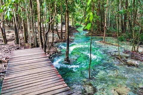 Excursão de dia inteiro na selva de Krabi com fontes termais e templo da caverna do tigre