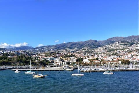 Madeira Special City Tuk Tuk Tour and Viewpoints by MadTuk