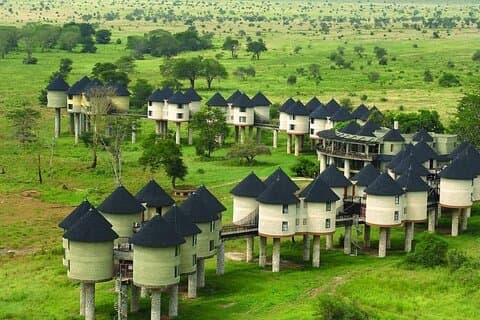 Mombasa : Tsavo East Safari met Game Drives voor zonsopgang en zonsondergang