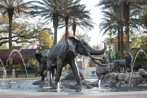 Biljett till Audubon Zoo
