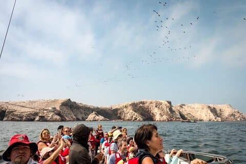 Ballestas-Inseln und Nationalreservat vom Hafen San Martin