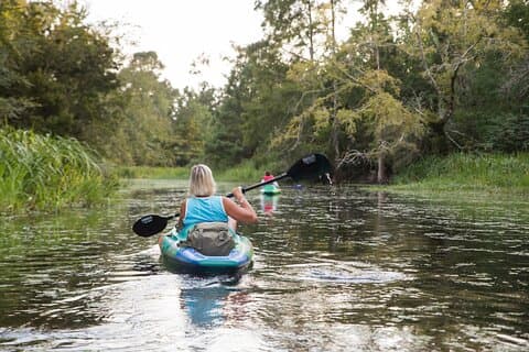New Orleans Bayou Adventure: Kayak Rental