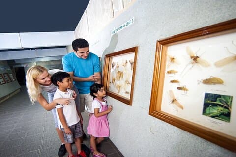 Visite familiale d'une demi-journée à Kuala Lumpur avec Aquaria KLCC