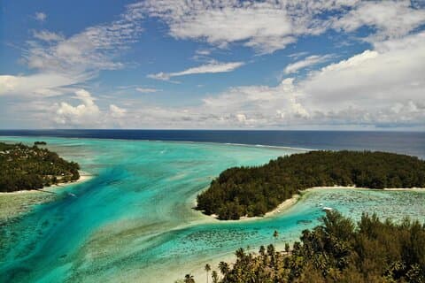 Privat rundtur i Moorea-lagunen - snorkling med rockor och hajar