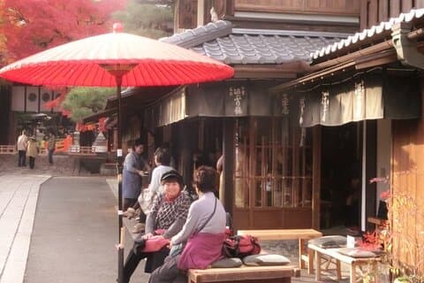Heldags privat vandredagstur i Kyoto med te