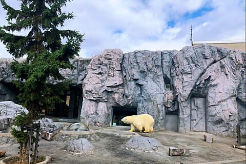 Excursión de un día al zoológico de Hokkaido Asahiyama, Furano y terraza individual