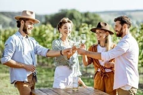 Mount Tamborine Deluxe Weinprobe mit Zwei-Gänge-Mittagessen