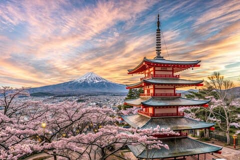 Da Tokyo: gita giornaliera privata al Monte Fuji e Hakone