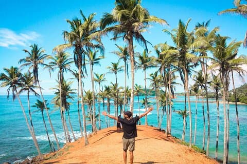 Tour privado de 12 días por Sri Lanka con hoteles 4*HB