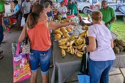 Saturday Markets & Brunch Tour