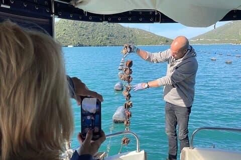 Pelješac - Vino, Ostriche e Esperienza gastronomica da Dubrovnik