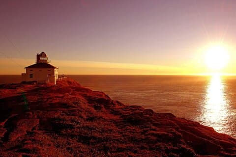 Tour storico di St. John's Terranova e Cape Spear