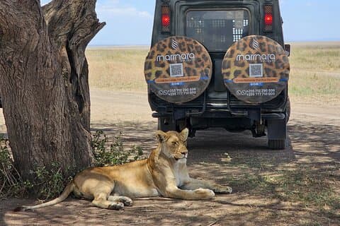3 dagen en 2 nachten Safari naar Serengeti National Park