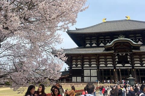 Nara-dagstur fra Kyoto med en lisensiert guide