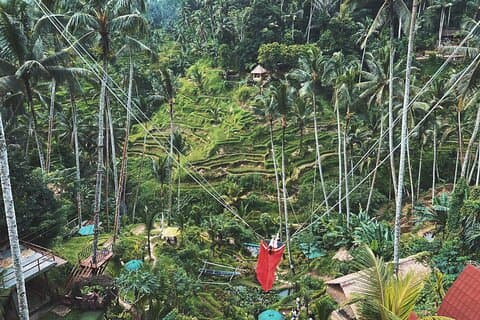 Tour privato di Ubud: cascata, foresta delle scimmie, terrazza del riso, tempio