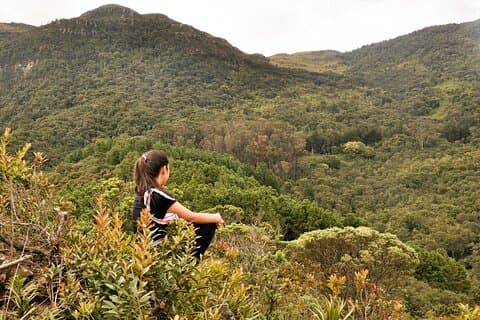 Caminhada nas colinas orientais de Bogotá