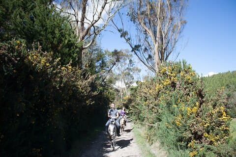 Ridning på höglandet i Bogotá