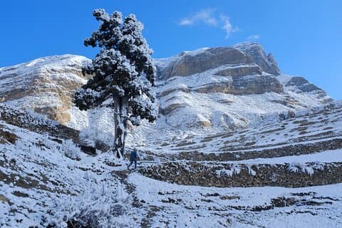 Trekking di 15 giorni intorno all'Annapurna con Poon Hill da Pokhara