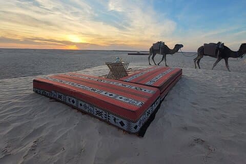 Dromedary Expedition with Night in Camp and Sandboard