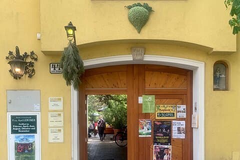 Privat tur til Wien beste vingårder