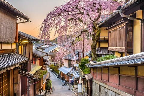 10 dagers privat tur i Japan som avslører maksimale attraksjoner