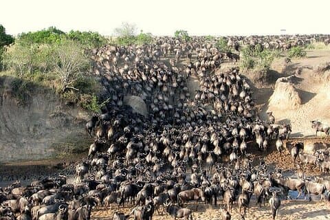 14 Tage Kenia und Tansania Camping Safari ab Nairobi